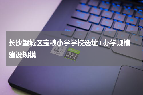 长沙望城区宝粮小学学校选址+办学规模+建设规模