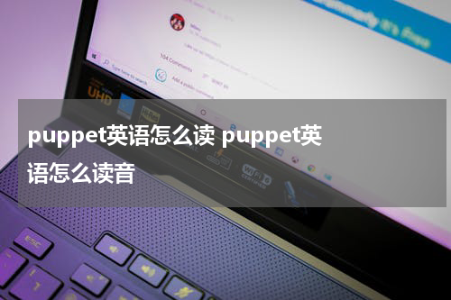 puppet英语怎么读 puppet英语怎么读音