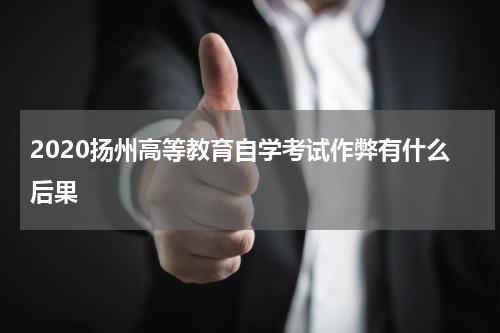 2020扬州高等教育自学考试作弊有什么后果