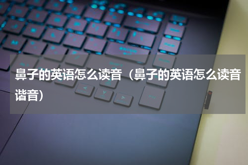 鼻子的英语怎么读音（鼻子的英语怎么读音谐音）