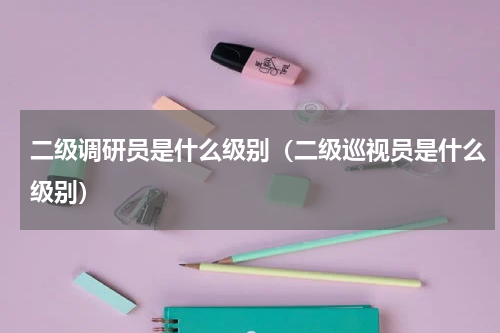 二级调研员是什么级别（二级巡视员是什么级别）