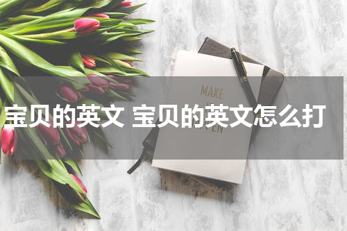 宝贝的英文 宝贝的英文怎么打