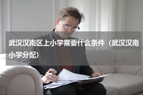 武汉汉南区上小学需要什么条件（武汉汉南小学分配）