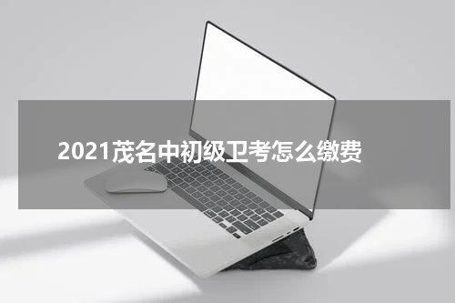 2021茂名中初级卫考怎么缴费