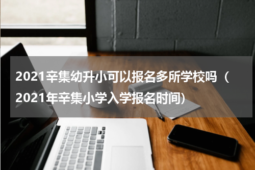 2021辛集幼升小可以报名多所学校吗（2021年辛集小学入学报名时间）