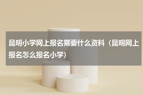 昆明小学网上报名需要什么资料（昆明网上报名怎么报名小学）