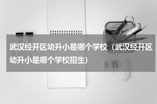 武汉经开区幼升小是哪个学校（武汉经开区幼升小是哪个学校招生）