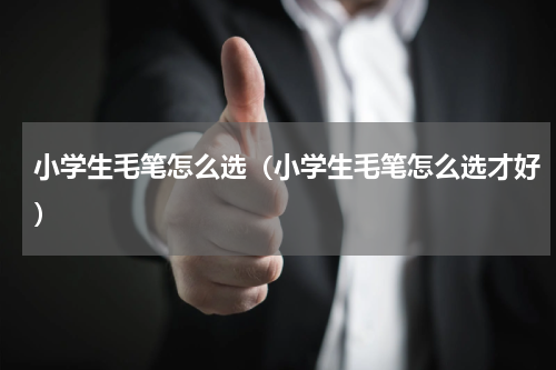 小学生毛笔怎么选（小学生毛笔怎么选才好）