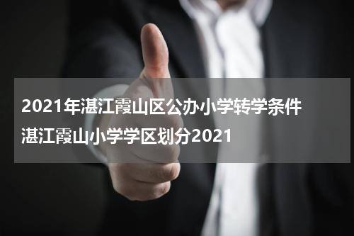 2021年湛江霞山区公办小学转学条件 湛江霞山小学学区划分2021