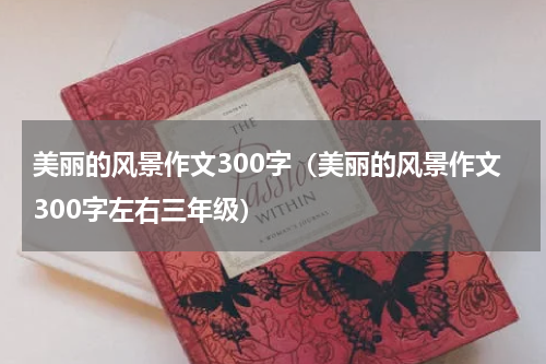 美丽的风景作文300字（美丽的风景作文300字左右三年级）