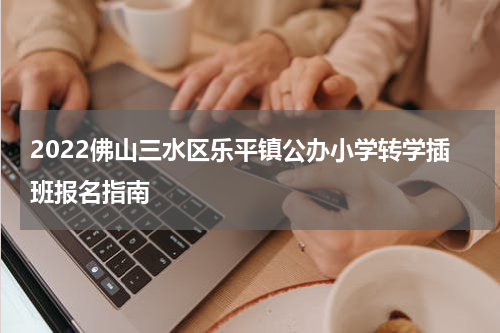 2022佛山三水区乐平镇公办小学转学插班报名指南