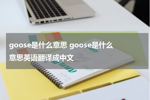 goose是什么意思 goose是什么意思英语翻译成中文