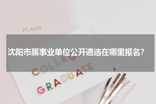 沈阳市属事业单位公开遴选在哪里报名？