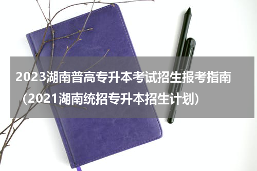 2023湖南普高专升本考试招生报考指南（2021湖南统招专升本招生计划）