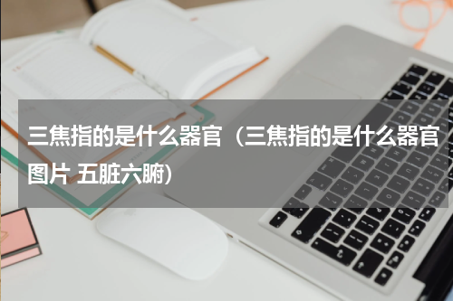 三焦指的是什么器官（三焦指的是什么器官图片 五脏六腑）