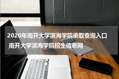 2020年南开大学滨海学院录取查询入口 南开大学滨海学院招生信息网