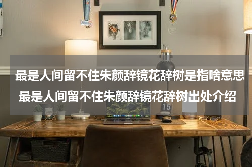 最是人间留不住朱颜辞镜花辞树是指啥意思 最是人间留不住朱颜辞镜花辞树出处介绍