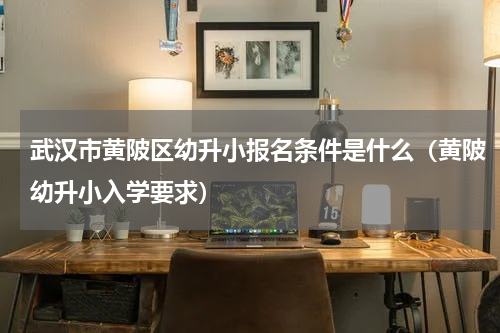武汉市黄陂区幼升小报名条件是什么（黄陂幼升小入学要求）