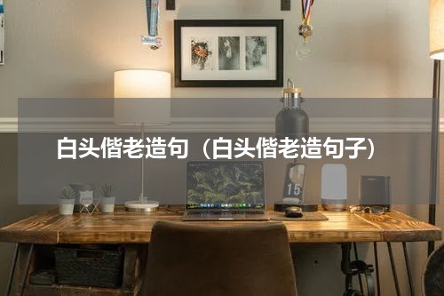 白头偕老造句（白头偕老造句子）