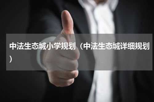 中法生态城小学规划（中法生态城详细规划）