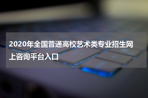 2020年全国普通高校艺术类专业招生网上咨询平台入口