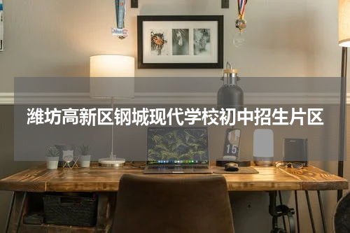 潍坊高新区钢城现代学校初中招生片区