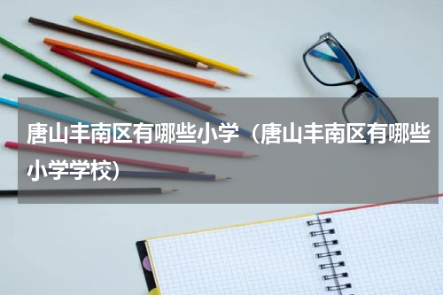 唐山丰南区有哪些小学（唐山丰南区有哪些小学学校）