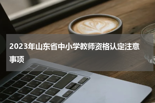 2023年山东省中小学教师资格认定注意事项