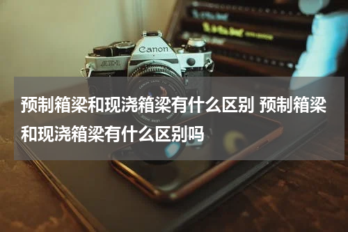 预制箱梁和现浇箱梁有什么区别 预制箱梁和现浇箱梁有什么区别吗