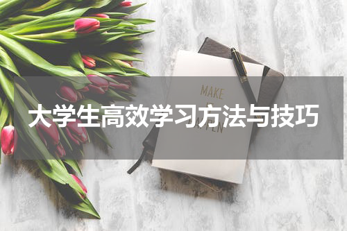 大学生高效学习方法与技巧