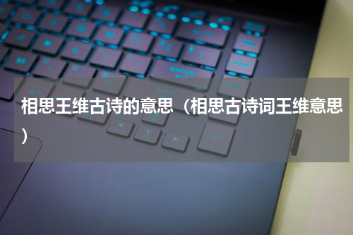 相思王维古诗的意思（相思古诗词王维意思）