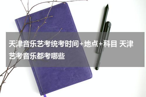 天津音乐艺考统考时间+地点+科目 天津艺考音乐都考哪些