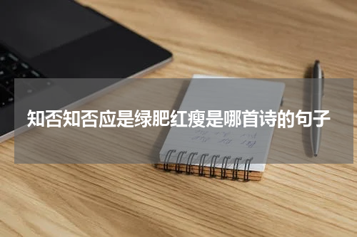 知否知否应是绿肥红瘦是哪首诗的句子