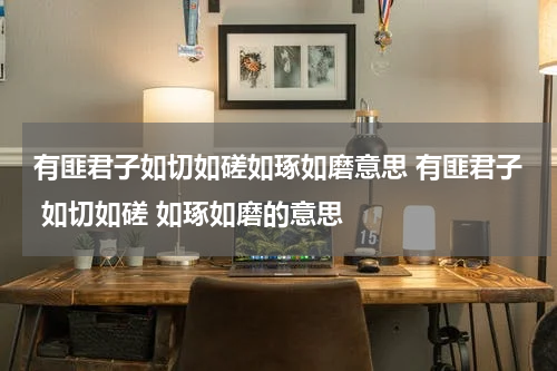 有匪君子如切如磋如琢如磨意思 有匪君子 如切如磋 如琢如磨的意思