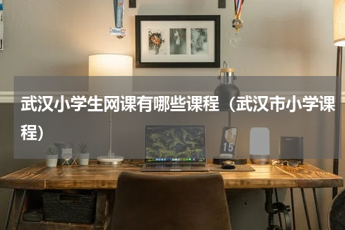 武汉小学生网课有哪些课程（武汉市小学课程）
