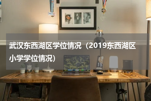 武汉东西湖区学位情况（2019东西湖区小学学位情况）