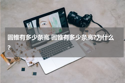 圆锥有多少条高 圆锥有多少条高?为什么?