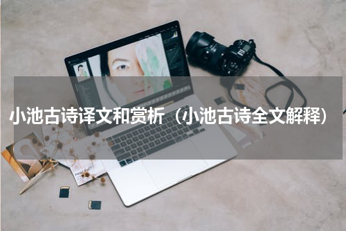 小池古诗译文和赏析（小池古诗全文解释）