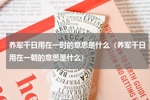 养军千日用在一时的意思是什么（养军千日用在一朝的意思是什么）