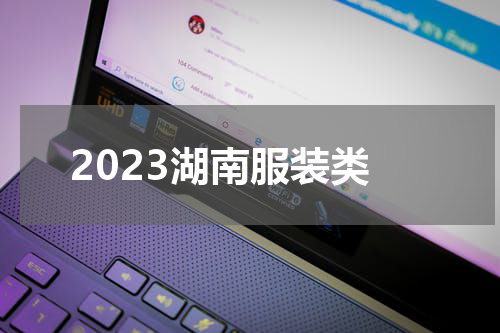 2023湖南服装类