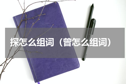 探怎么组词（曾怎么组词）