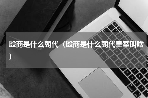 殷商是什么朝代（殷商是什么朝代皇室叫啥）