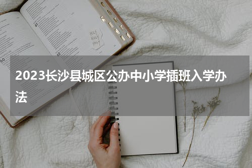 2023长沙县城区公办中小学插班入学办法