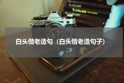 白头偕老造句（白头偕老造句子）