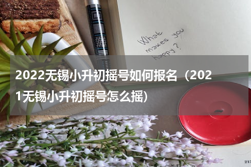 2022无锡小升初摇号如何报名（2021无锡小升初摇号怎么摇）