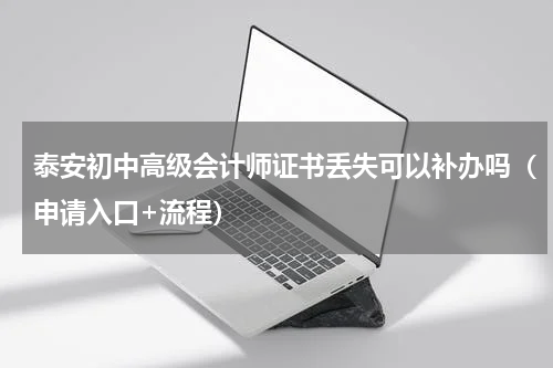 泰安初中高级会计师证书丢失可以补办吗（申请入口+流程）