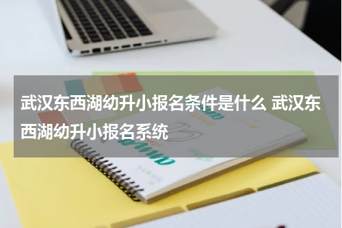 武汉东西湖幼升小报名条件是什么 武汉东西湖幼升小报名系统