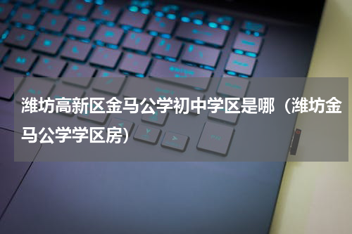 潍坊高新区金马公学初中学区是哪（潍坊金马公学学区房）