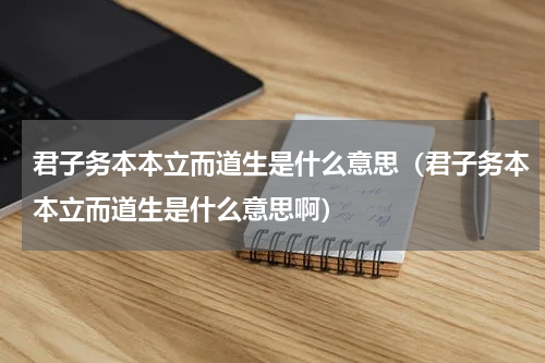 君子务本本立而道生是什么意思（君子务本本立而道生是什么意思啊）