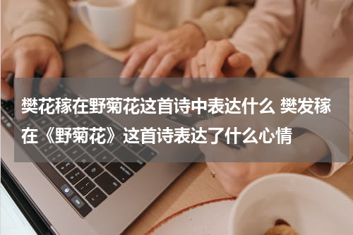 樊花稼在野菊花这首诗中表达什么 樊发稼在《野菊花》这首诗表达了什么心情
